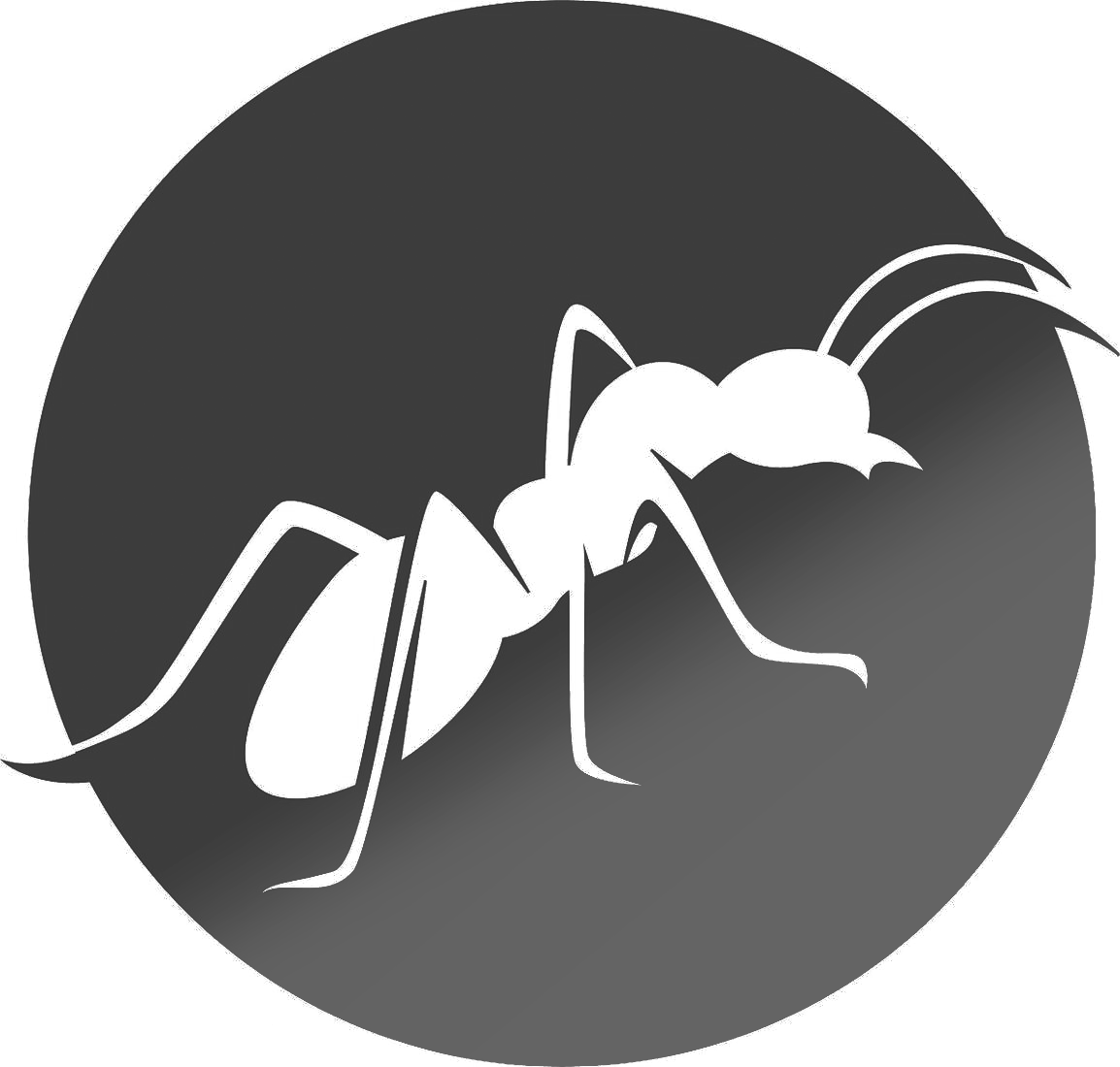 Ultimate Beginner’s Guide