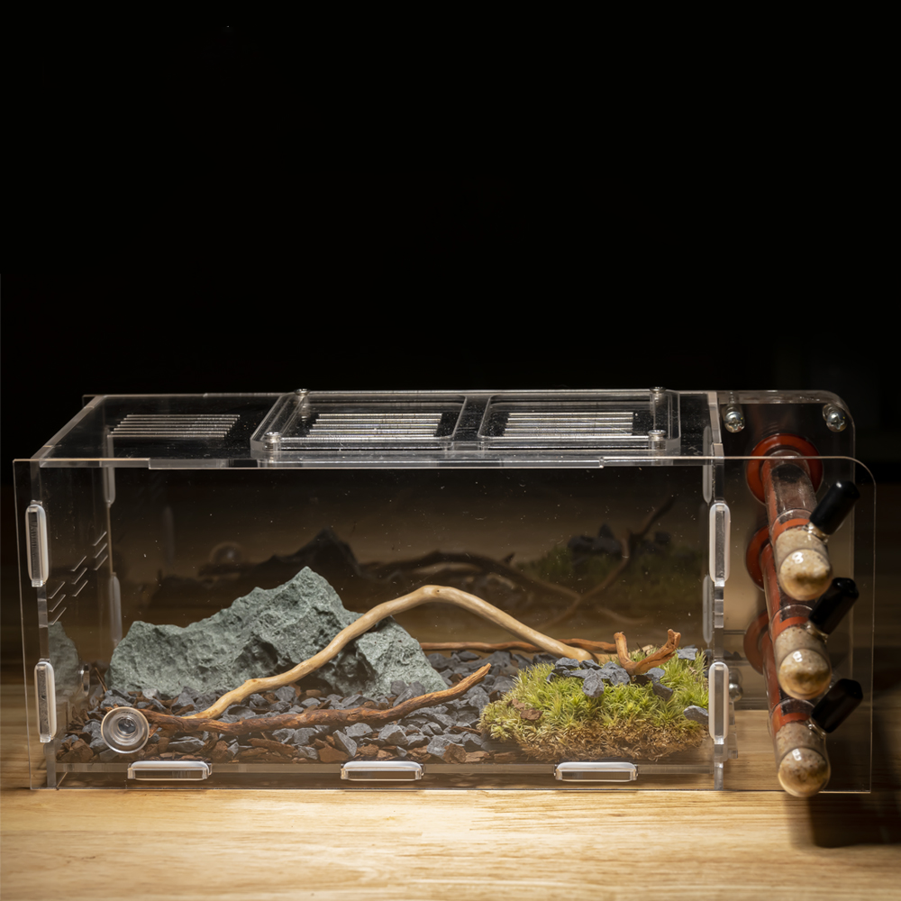 Eco-Inspired Acrylic Test Tube Ant Nest - 3D Printed Habitat with Scenery Kit + 3x18mm Tubes