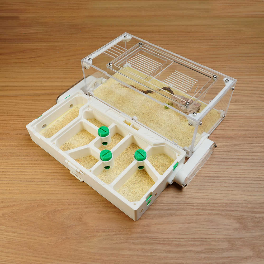 Foldable Gypsum Ant Nest with Chamber Knobs - Stackable Acrylic Formicarium + Accessories