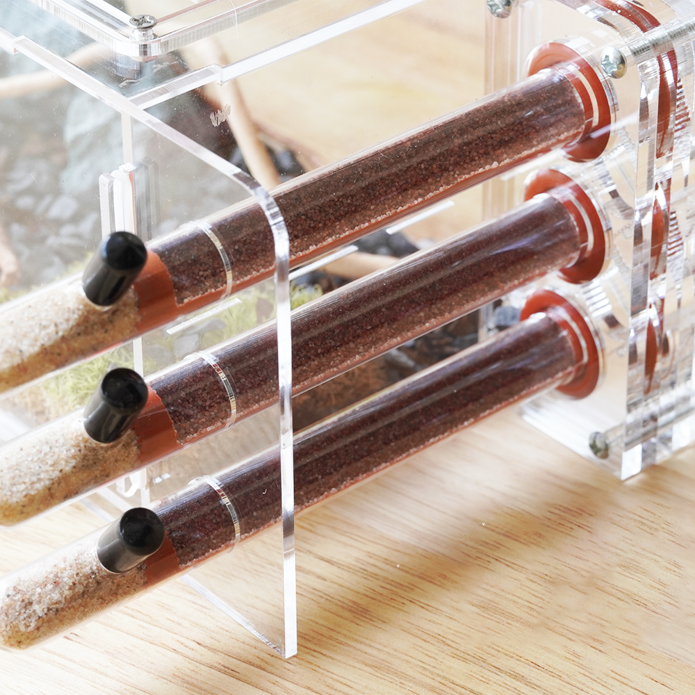 Eco-Inspired Acrylic Test Tube Ant Nest - 3D Printed Habitat with Scenery Kit + 3x18mm Tubes