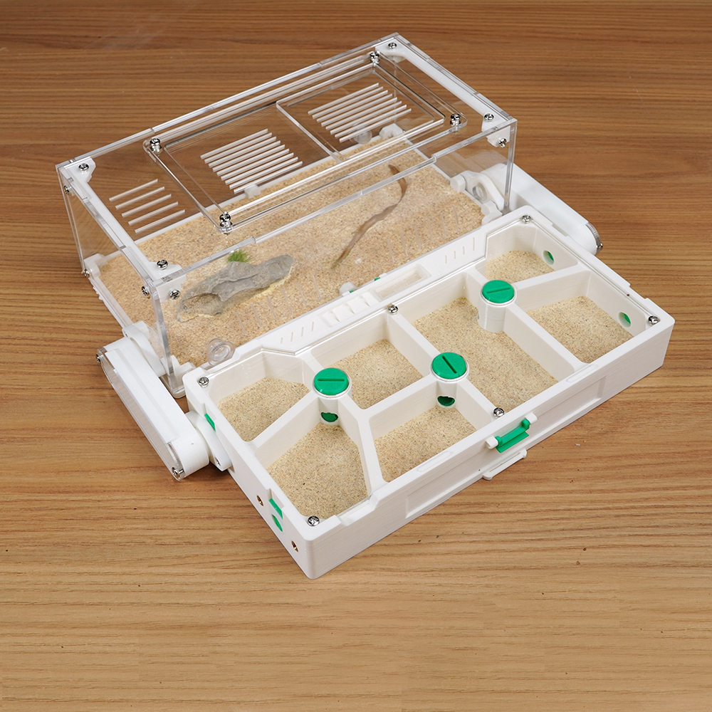 Foldable Gypsum Ant Nest with Chamber Knobs - Stackable Acrylic Formicarium + Accessories