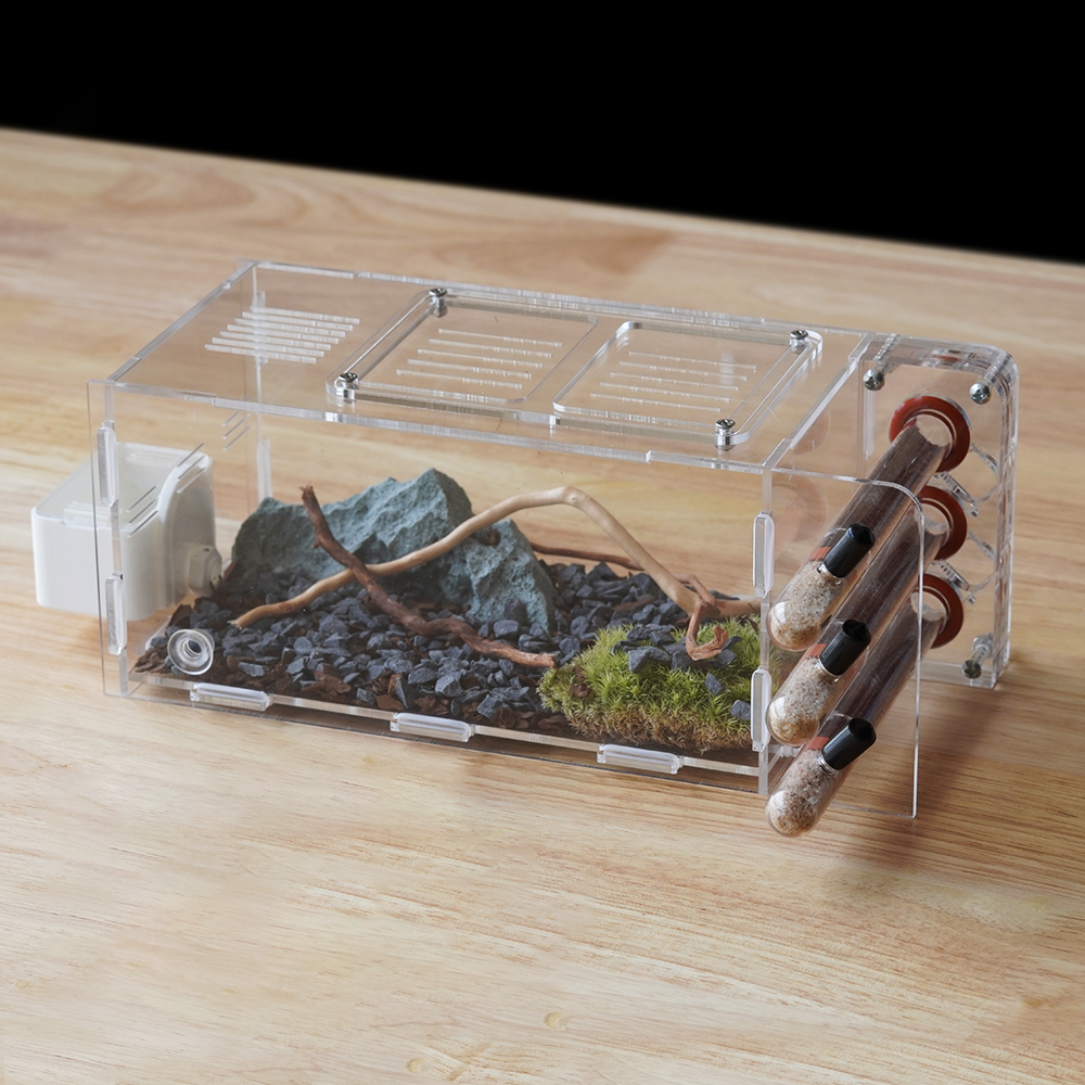 Eco-Inspired Acrylic Test Tube Ant Nest - 3D Printed Habitat with Scenery Kit + 3x18mm Tubes