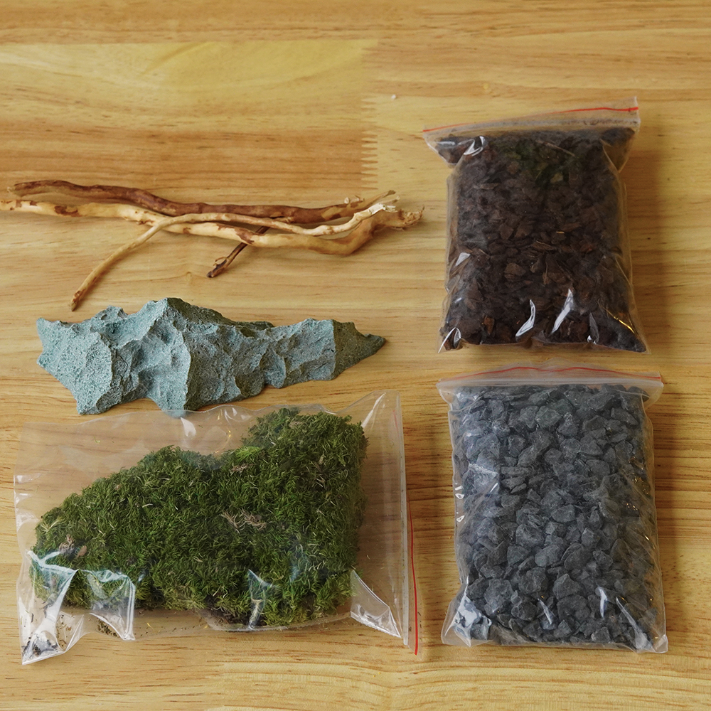 Ant Habitat Landscape Kit - Natural Terrarium Decor with Stones, Wood & Moss (for 19x10cm Area)