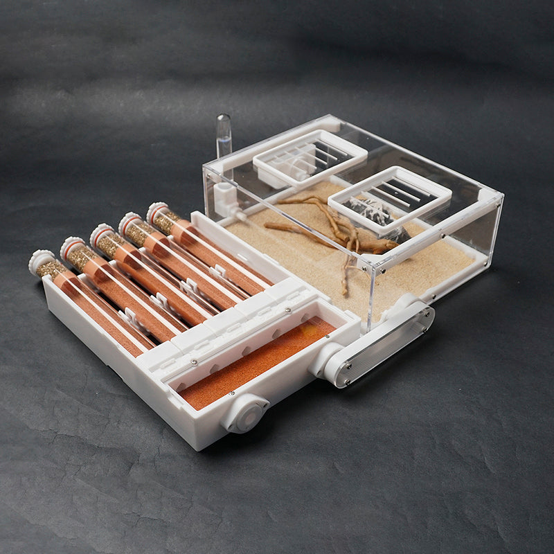 Expandable 3D Printed Ant Nest for Large Colonies - Foldable Acrylic Formicarium with 5 Test Tubes per Unit