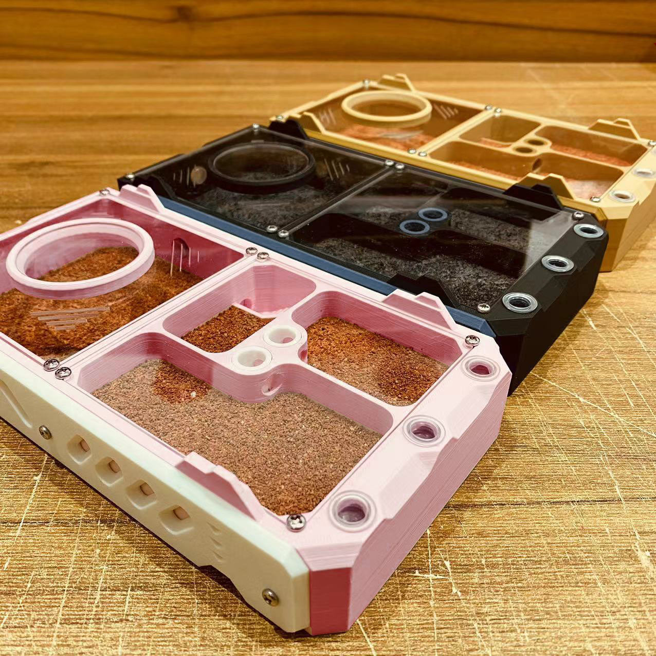 Adjustable-Chamber Gypsum Ant Nest - Stackable Acrylic Formicarium with Partition Knobs + Beginner Kit