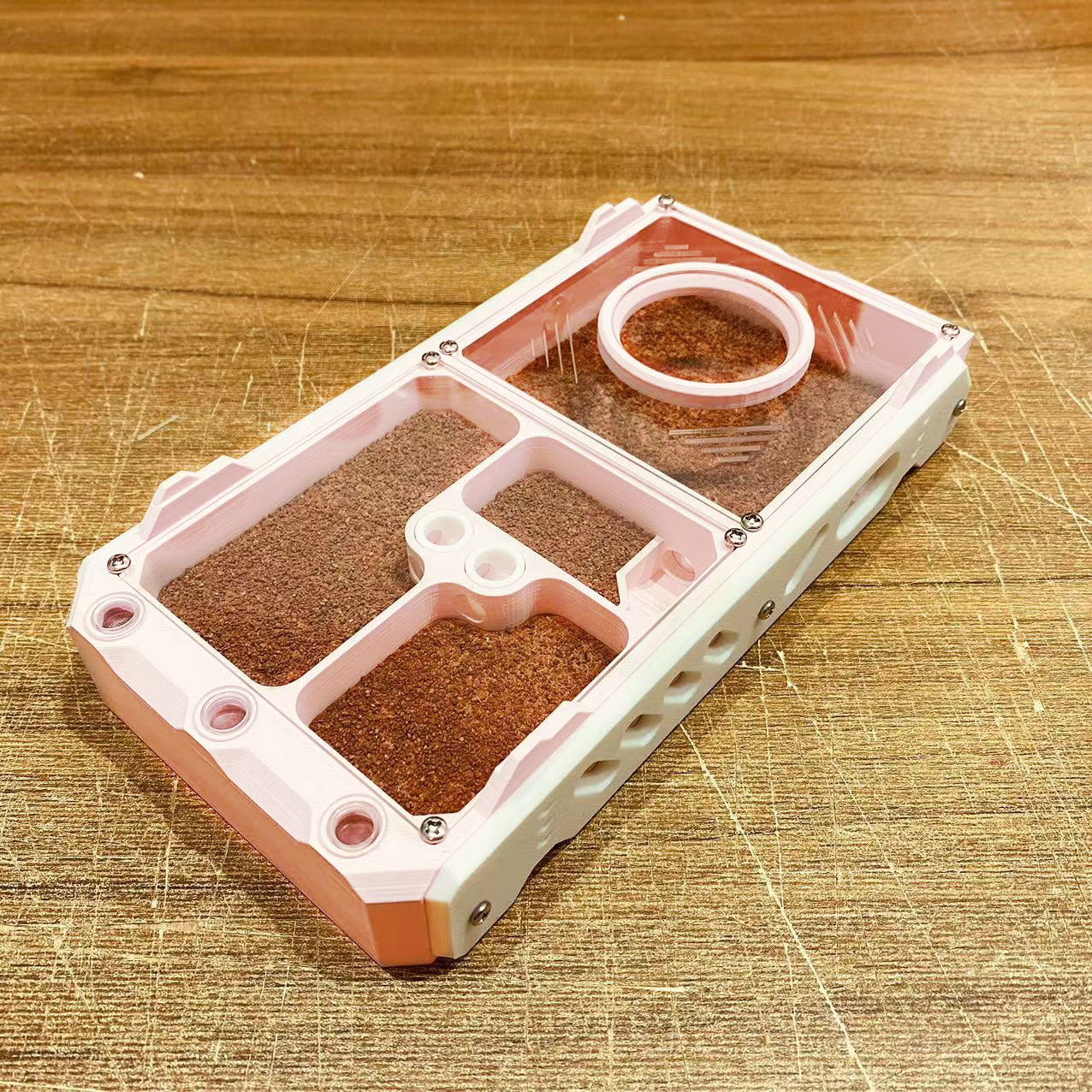 Adjustable-Chamber Gypsum Ant Nest - Stackable Acrylic Formicarium with Partition Knobs + Beginner Kit