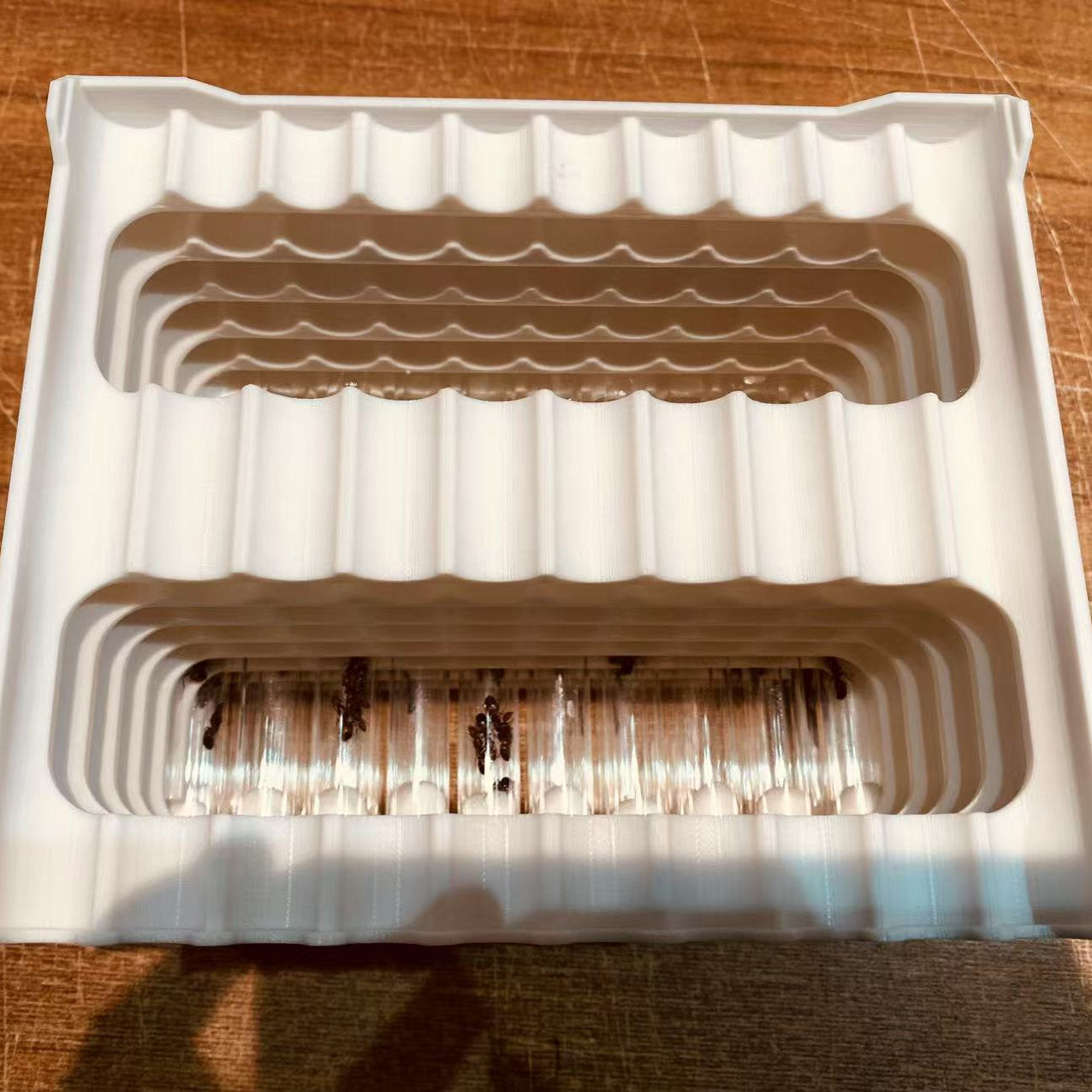 Out of Stock-Stacking Test Tube Rack for Ant Queen & Colony - 10 Modules for 15mmx150mm Tubes (Secure & Anti-Roll)