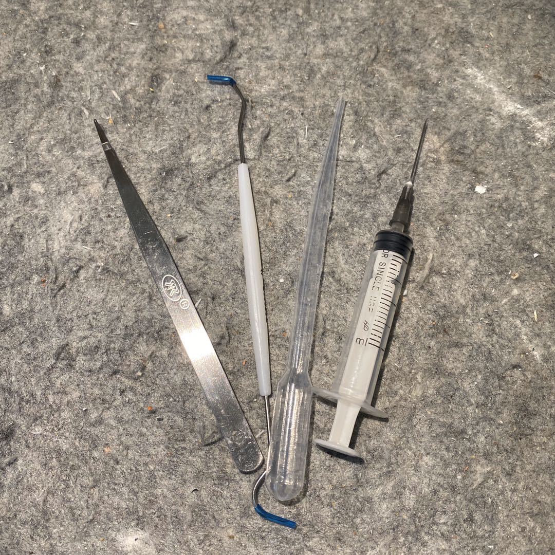 Ant Keeping Beginner Tool Kit - Essential Set of Tweezers, Probe & Syringe